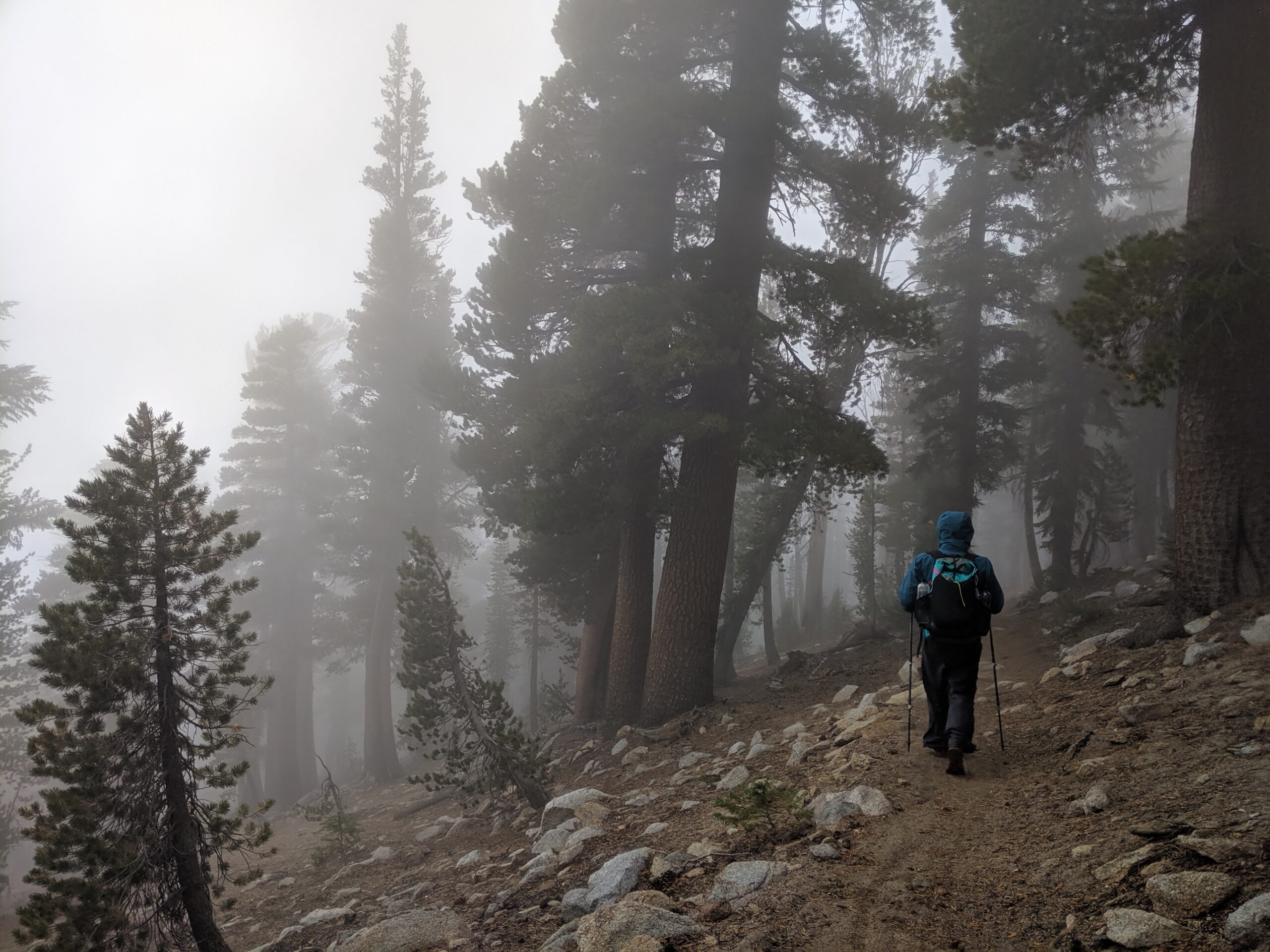 Tahoe Rim Trail: Day 2