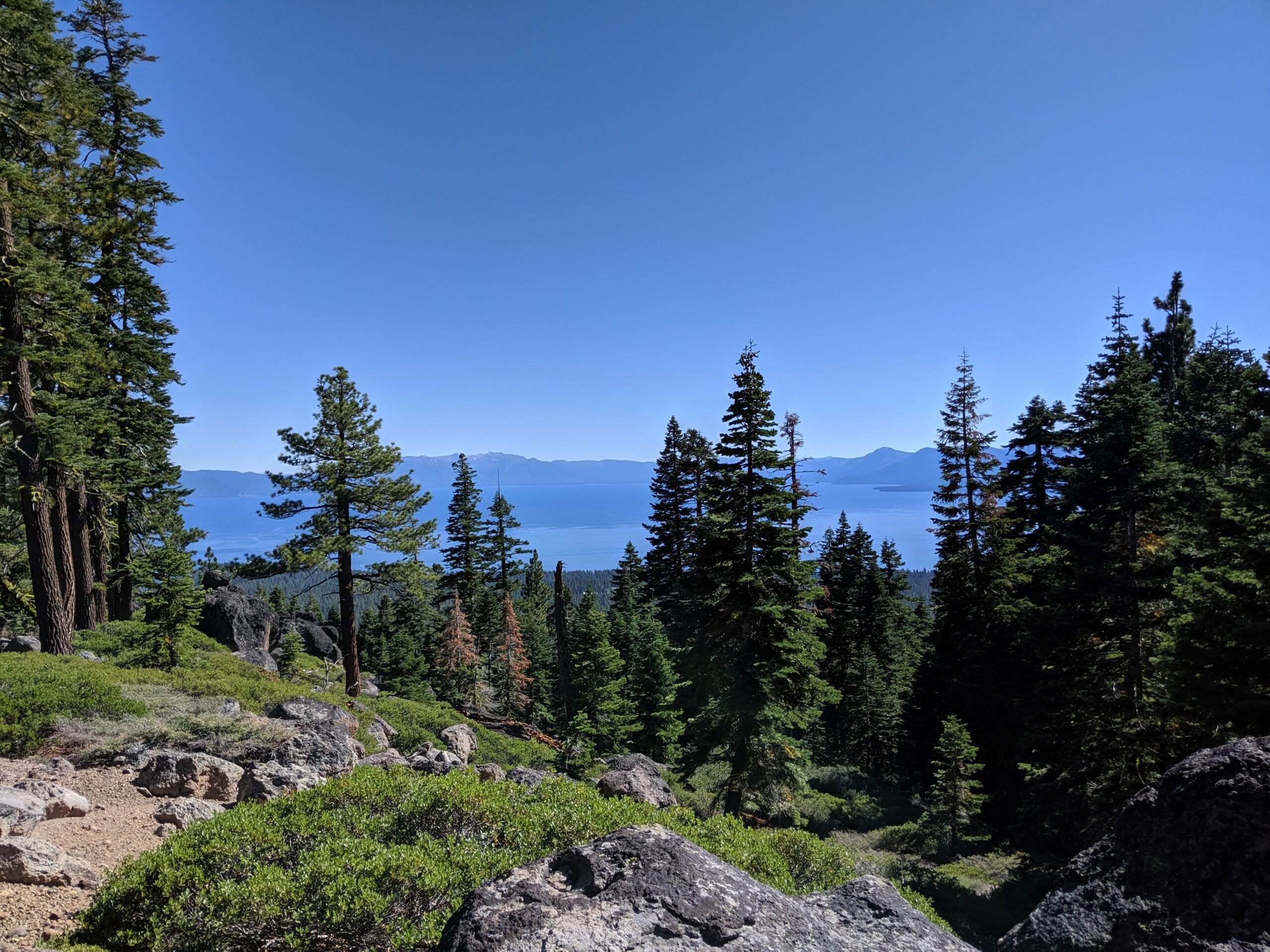 Tahoe Rim Trail: Day 5