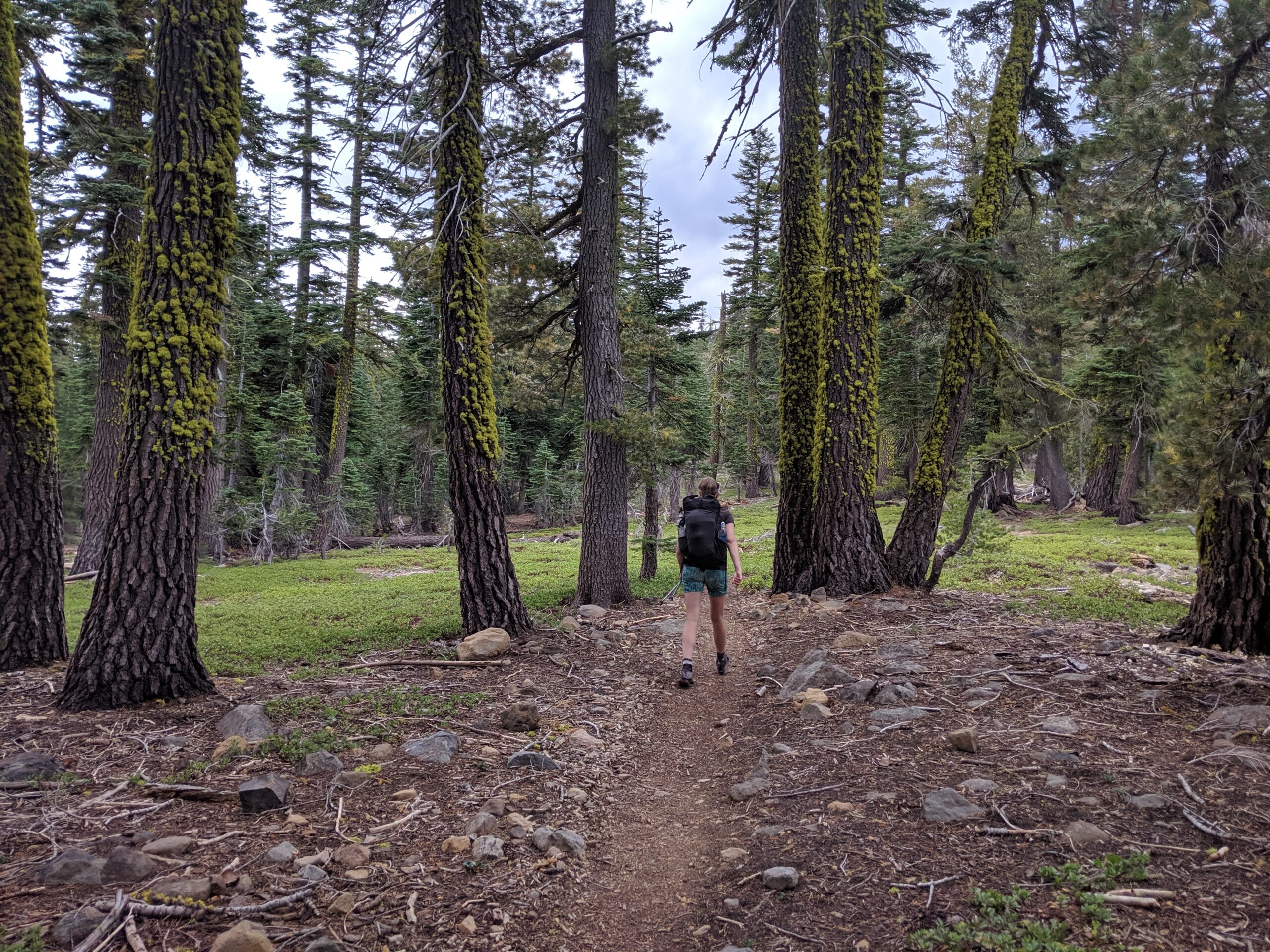 Tahoe Rim Trail: Day 6