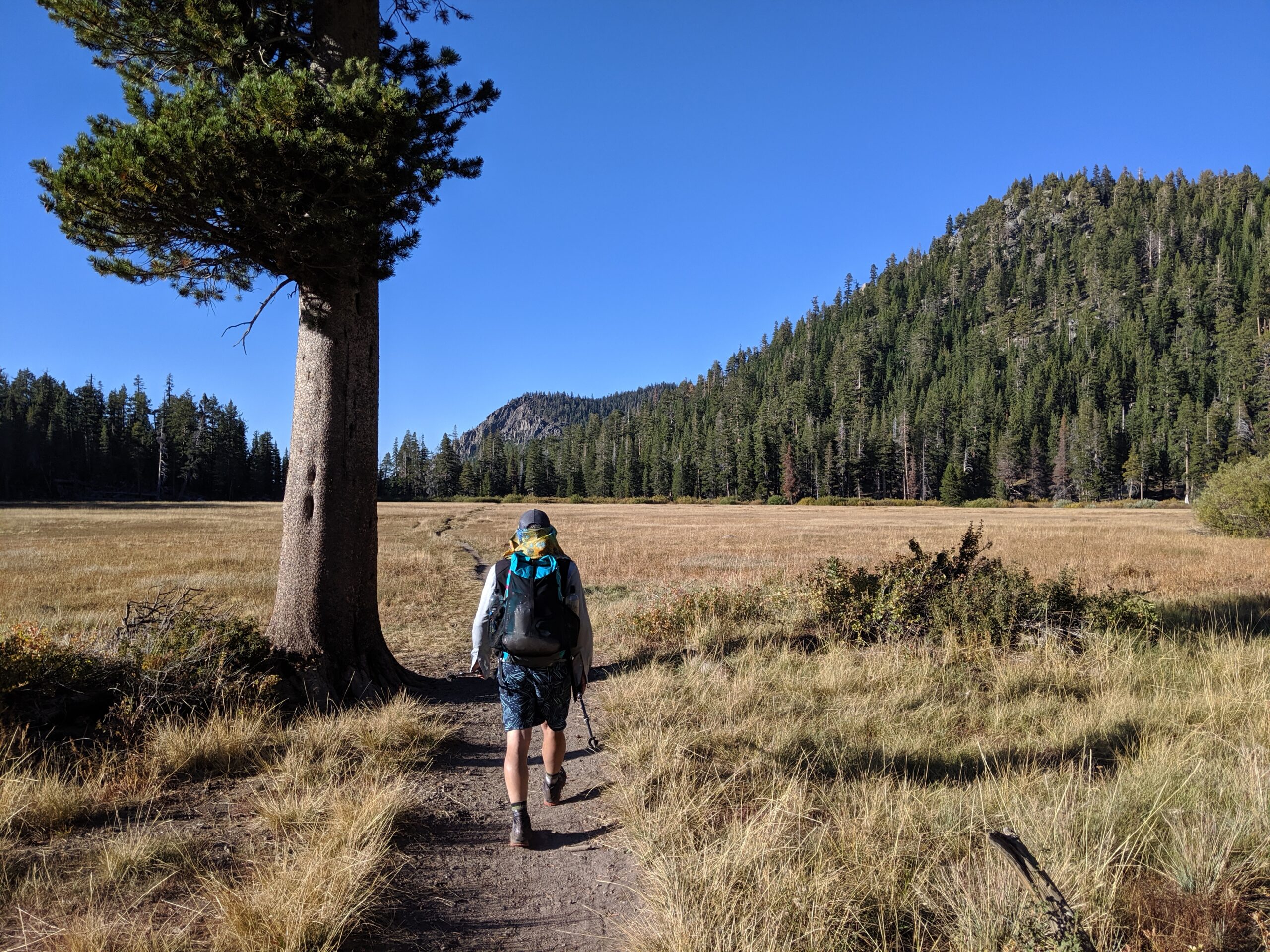 Tahoe Rim Trail: Day 1