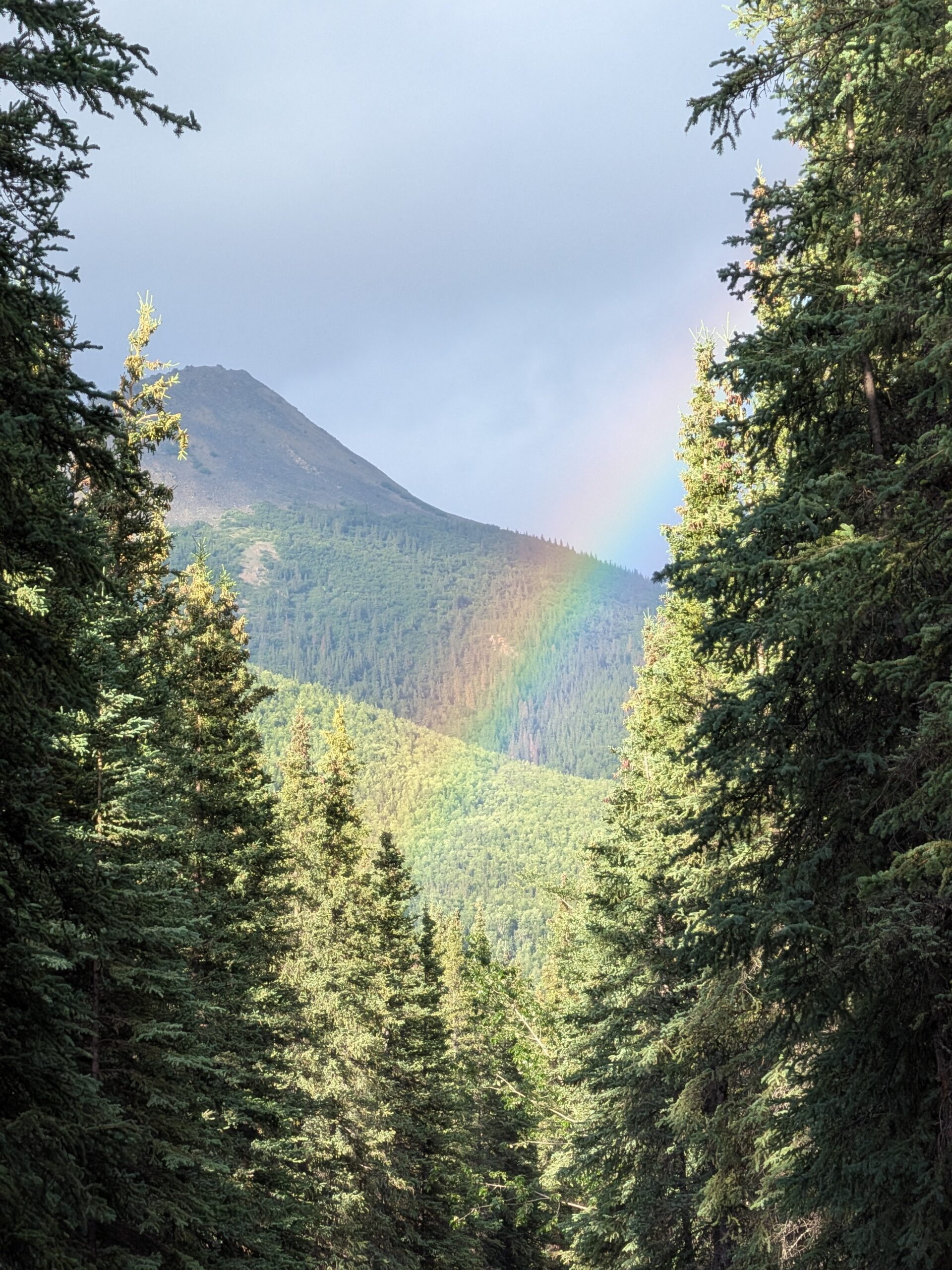 AK to AZ Day 21: Zero Day in Denali