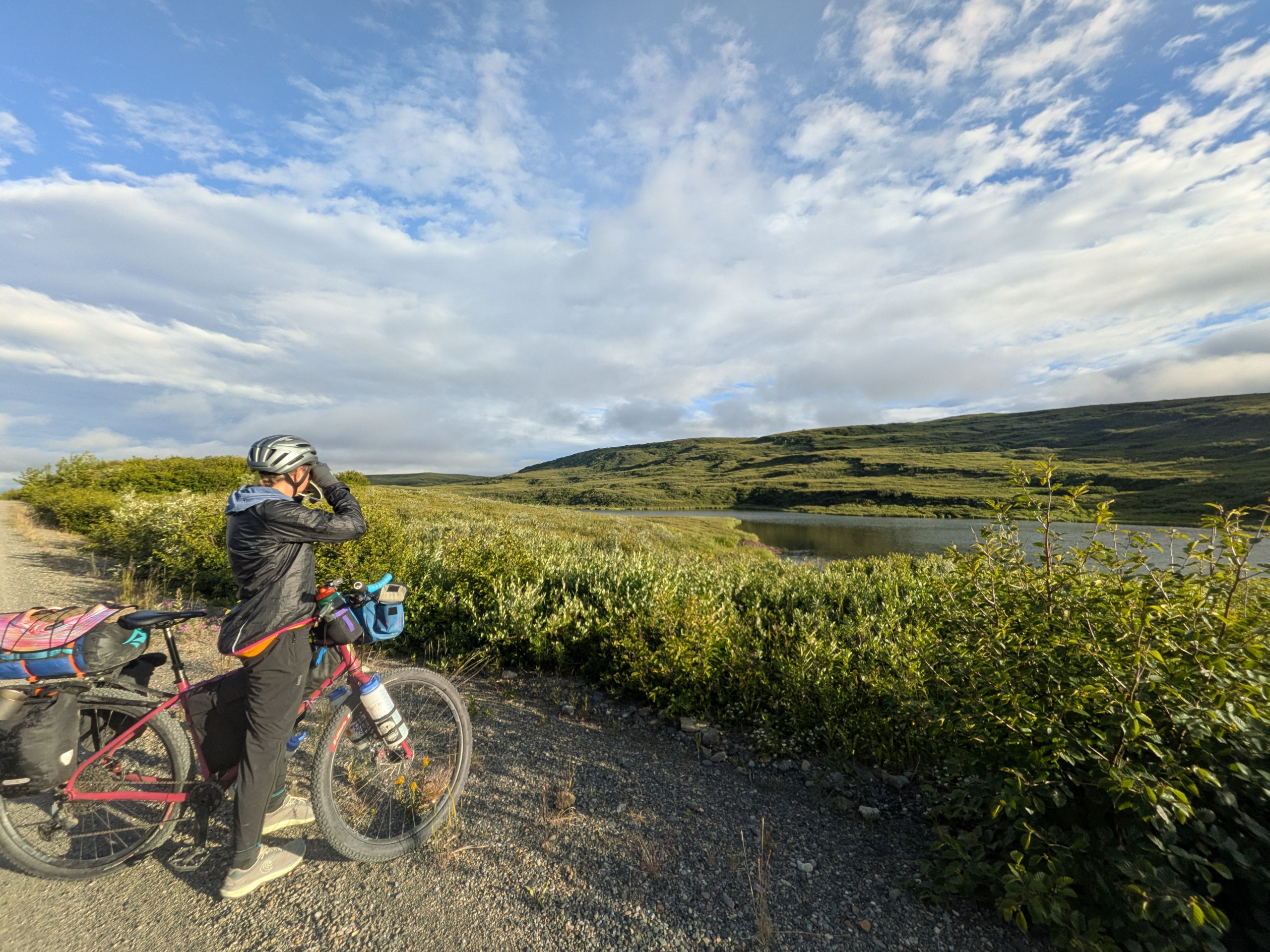 AK to AZ Day 19: More Denali Views