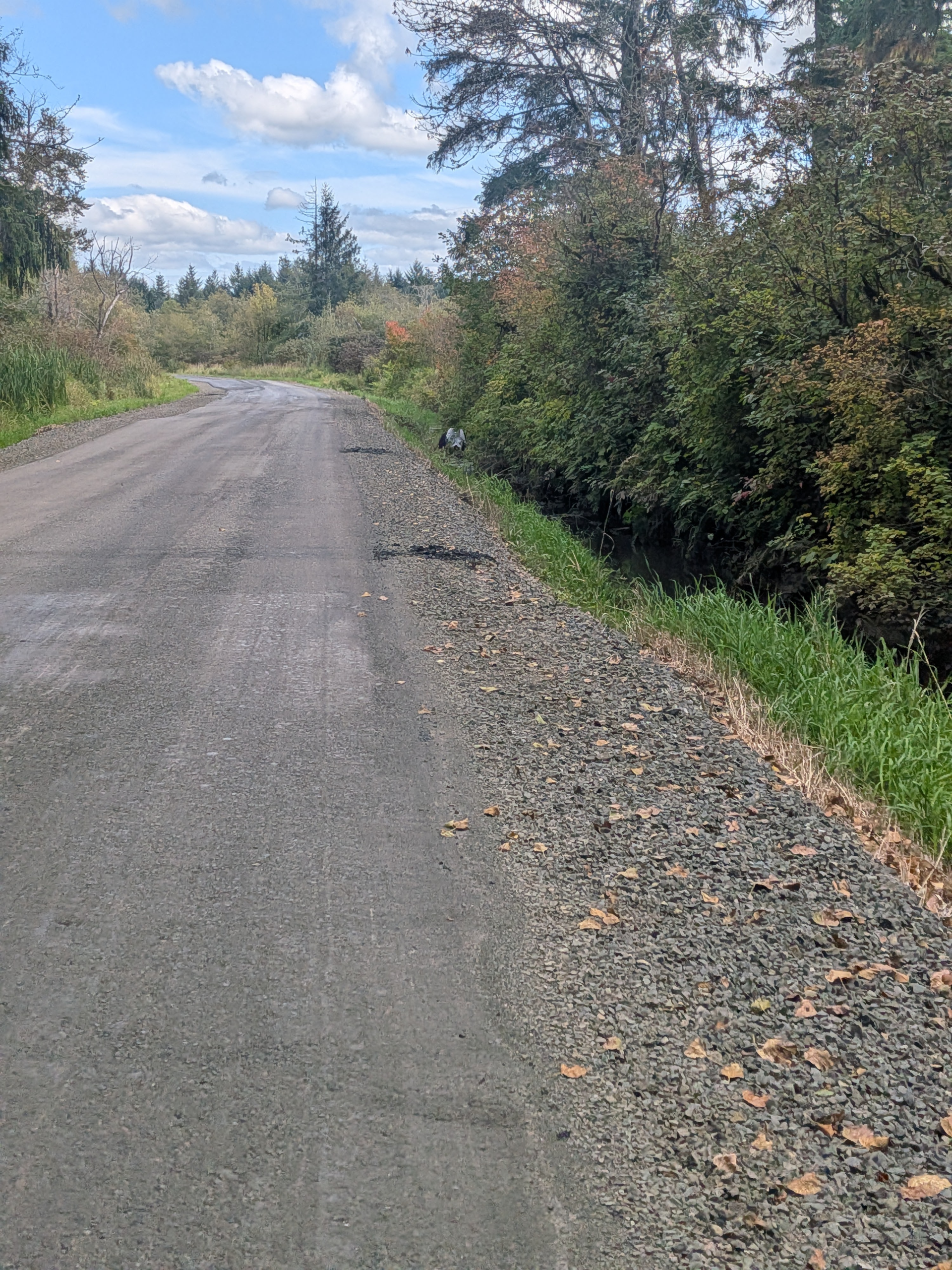 AK to AZ Day 82: Leaving Highway 101
