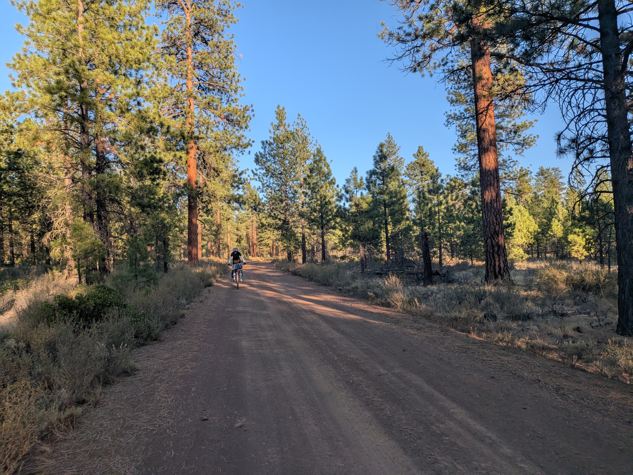 AK to AZ Day 92: The Red Sauce Forest