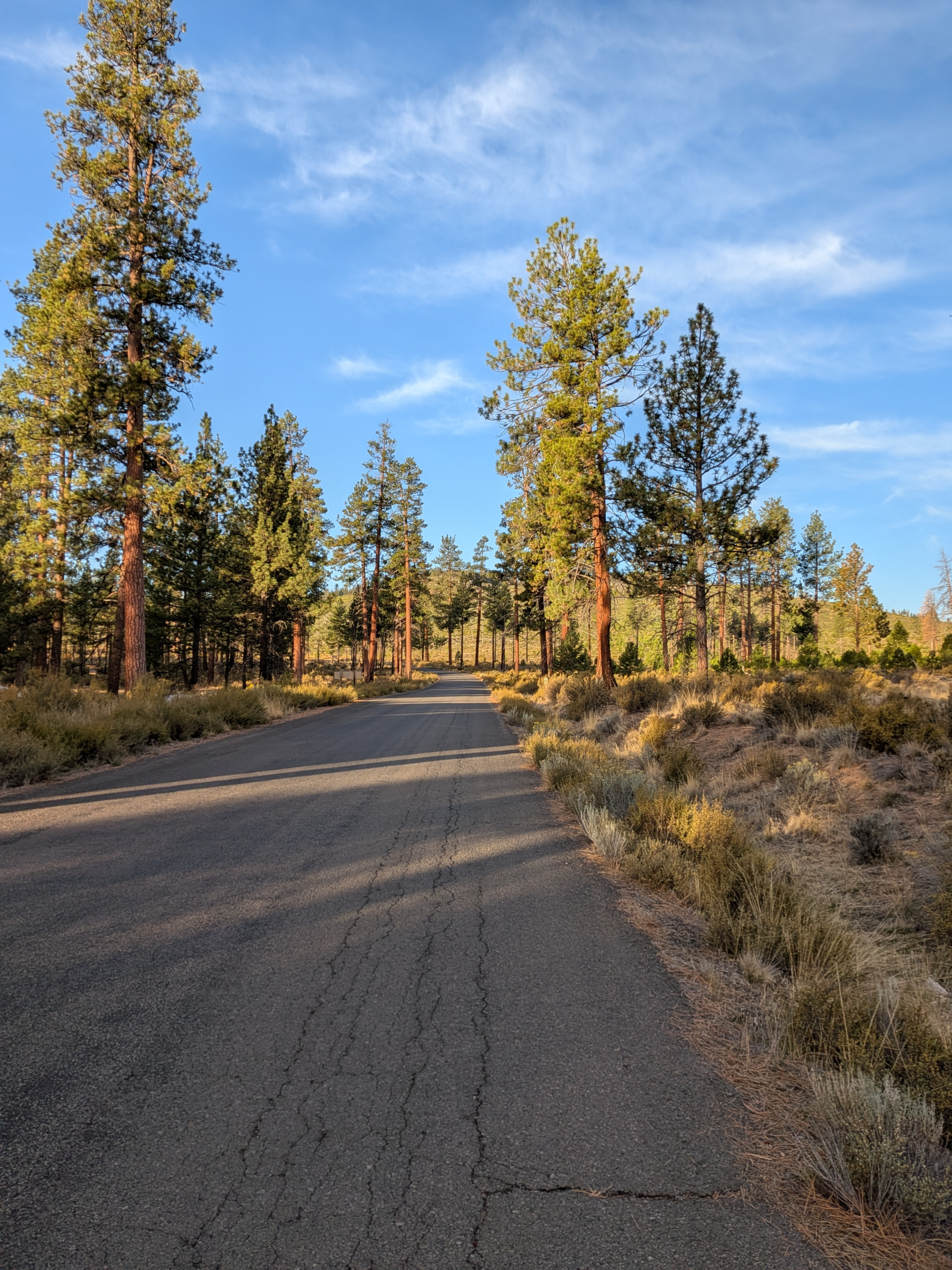 AK to AZ Day 94: The OC&E Woods Line State Trail
