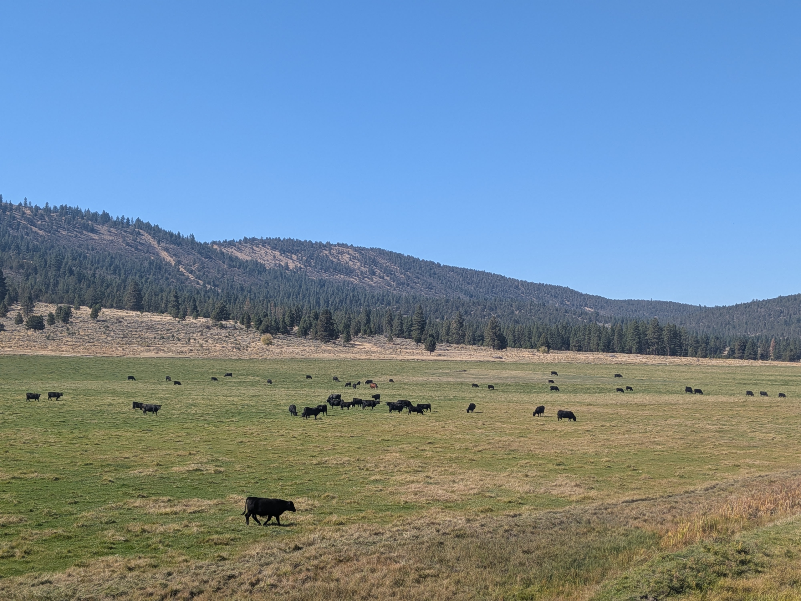 AK to AZ Days 95-96: Klamath Falls